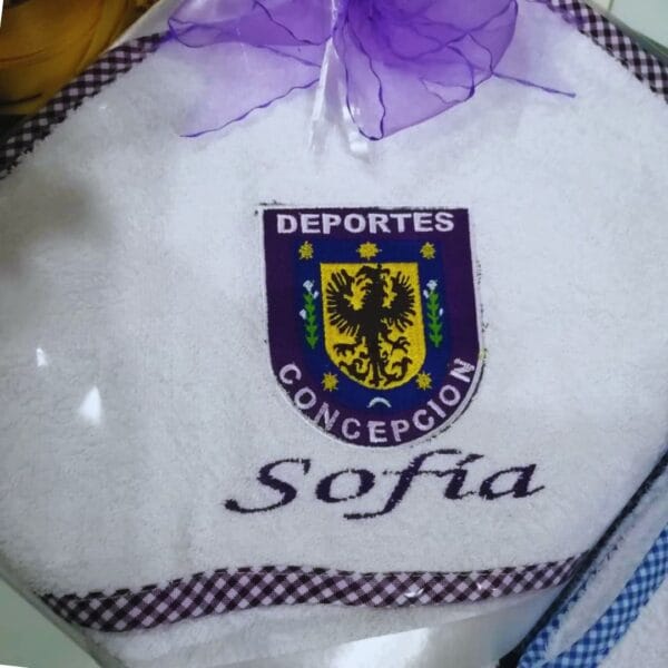 Deportes Concepción