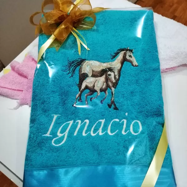 Bordado De Caballitos