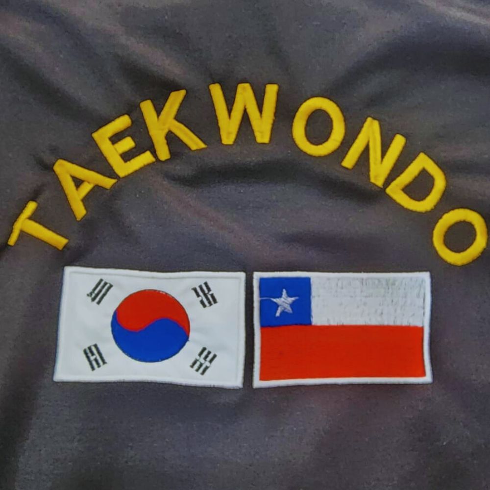 Bordado Uniforme Deportivo - Logo y Banderas